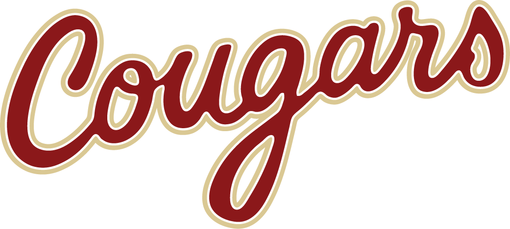 College of Charleston Cougars 2013-Pres Wordmark Logo v2 iron on transfers for clothing